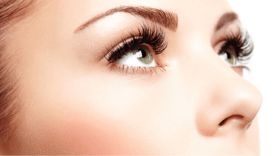 Lash and brow services, eyelash and eyebrow care