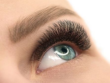 Beautifully maintained lash and brow. Part of Palestra's lash brow and waxing services.